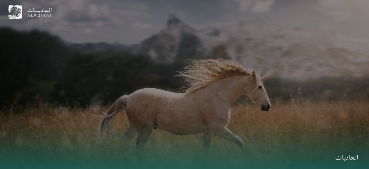 الإنسان والخيل: كيف روّض البشر الخيول وغيّروا مجرى التاريخ